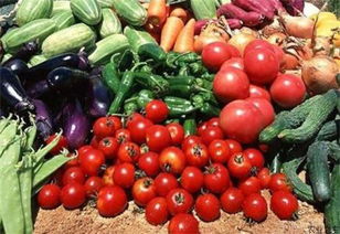 南通海門 食用農產品將擁有 