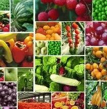 食藥監總局 堅持問題導向，加大食品農獸藥殘留治理力度，保障食用農產品安全