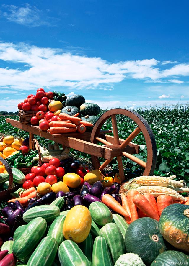 新規落地，守護舌尖安全——孫海山律師解讀《食用農產品市場銷售質量安全監督管理辦法》