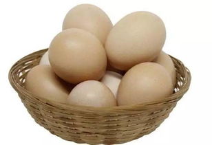 北京食藥監抽檢 華都峪口雞蛋檢出抗菌藥物，食用農產品安全再引關注